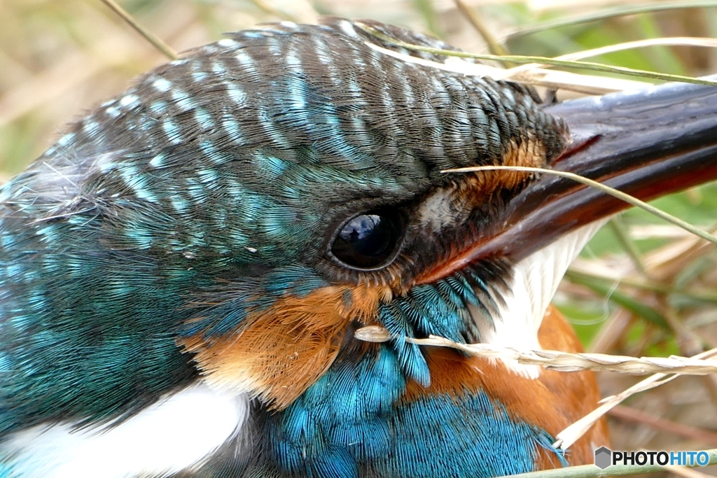 なにゆえ土手？その２