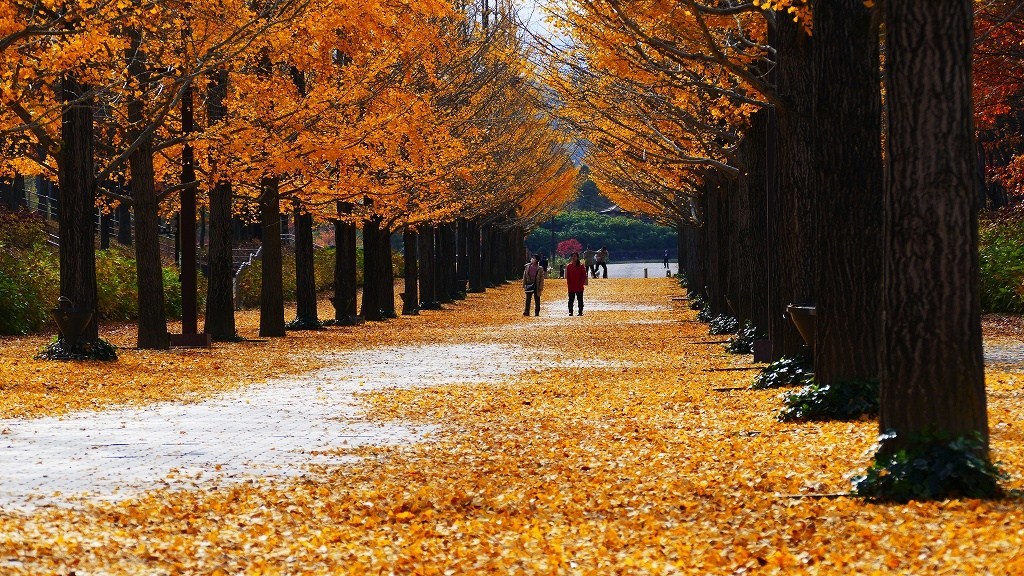 P1170296　@福島市あづま運動公園