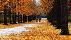 P1170296　@福島市あづま運動公園