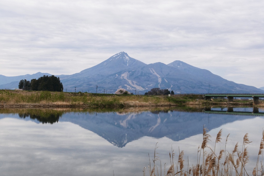 川辺の磐梯山②