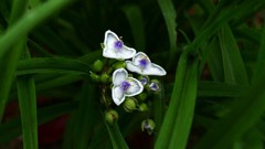 近所散策０５２８