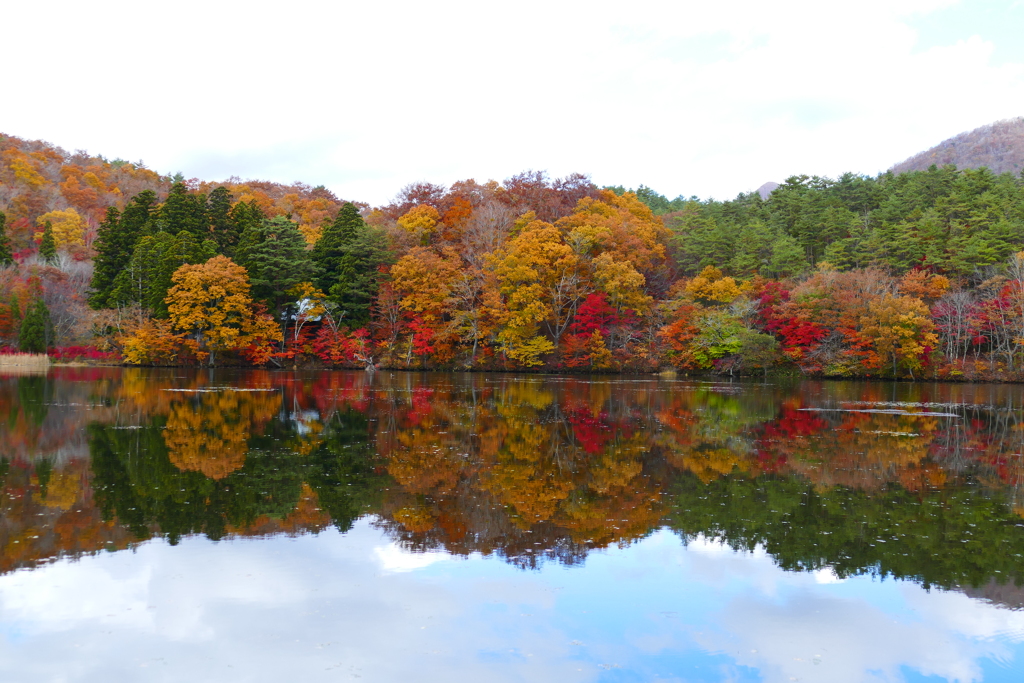 観音沼森林公園２