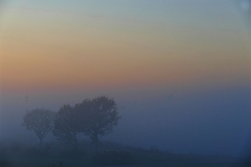朝霧グラデーション