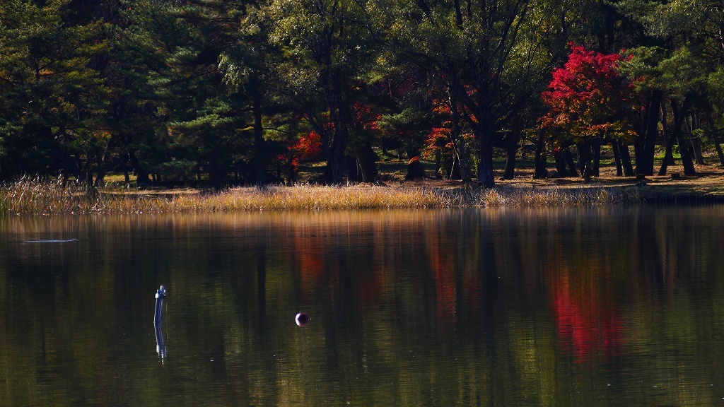 P1160523@白河市南湖