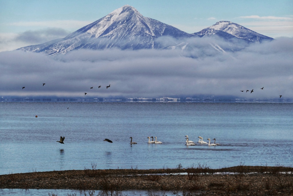 磐梯山と白鳥と２