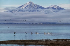 磐梯山と白鳥と２