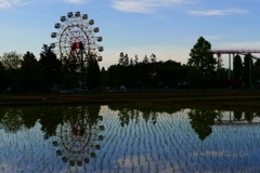 田んぼリフレクション １