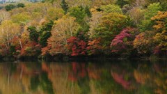 P1150032　奥日光