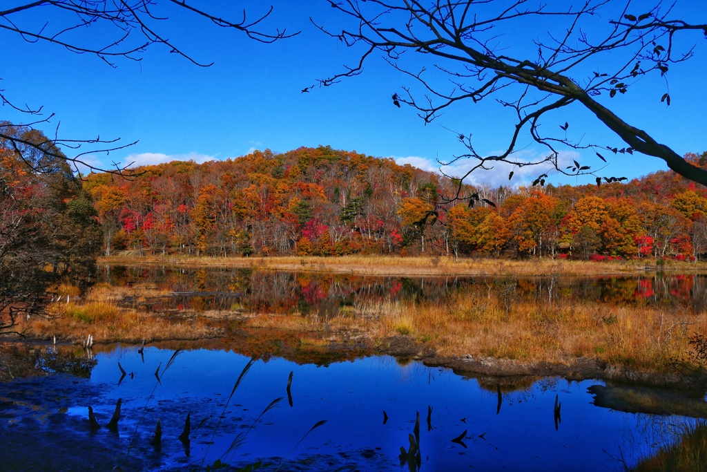 観音沼森林公園５