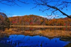 観音沼森林公園５