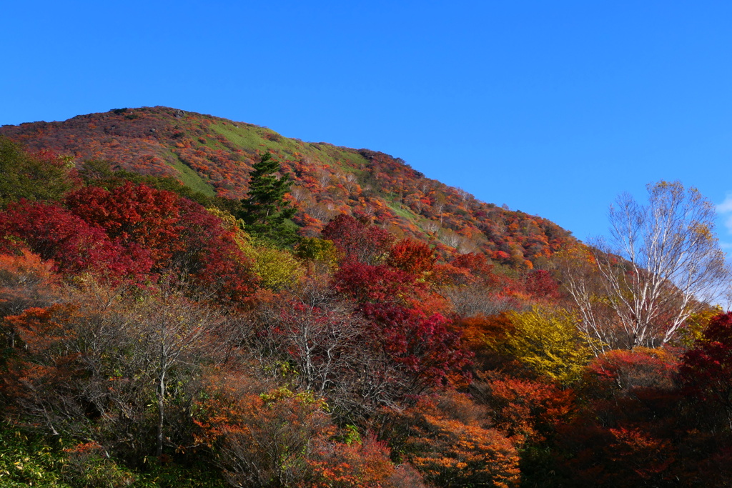 那須岳紅葉