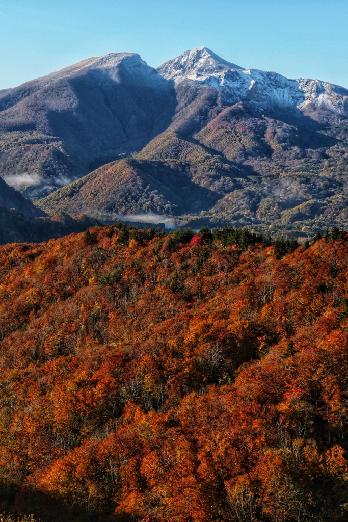 秋と冬の狭間に