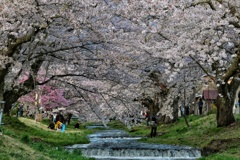 観音寺川