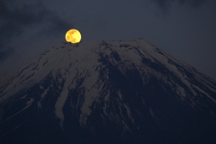 ギリギリパール