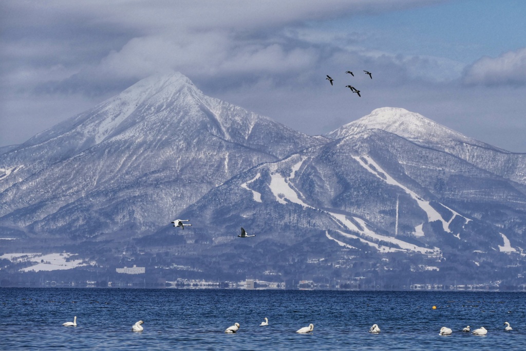 猪苗代湖、磐梯山、白鳥
