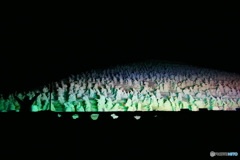 樹氷ライトアップ１