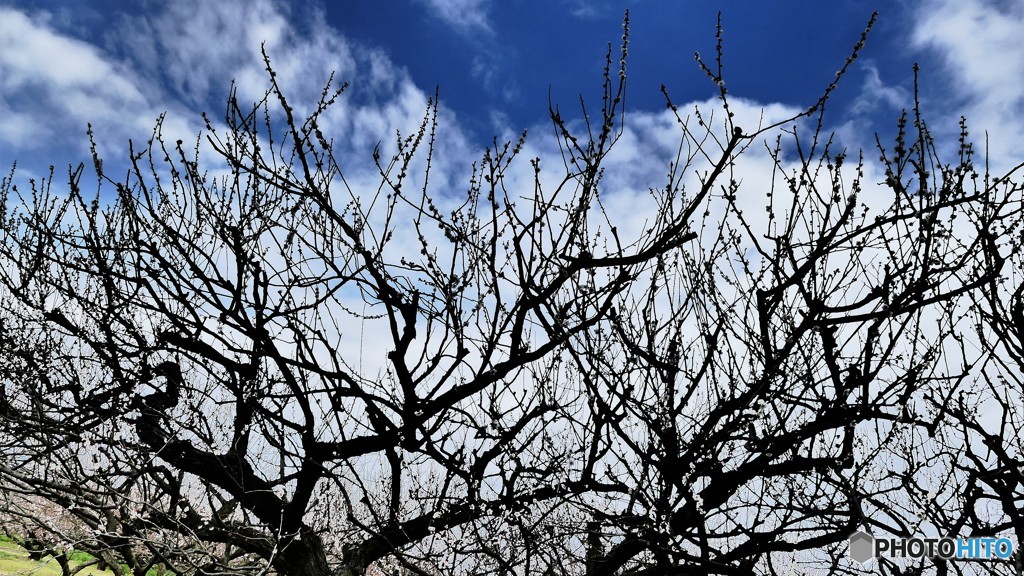 ＠神奈川県松田町