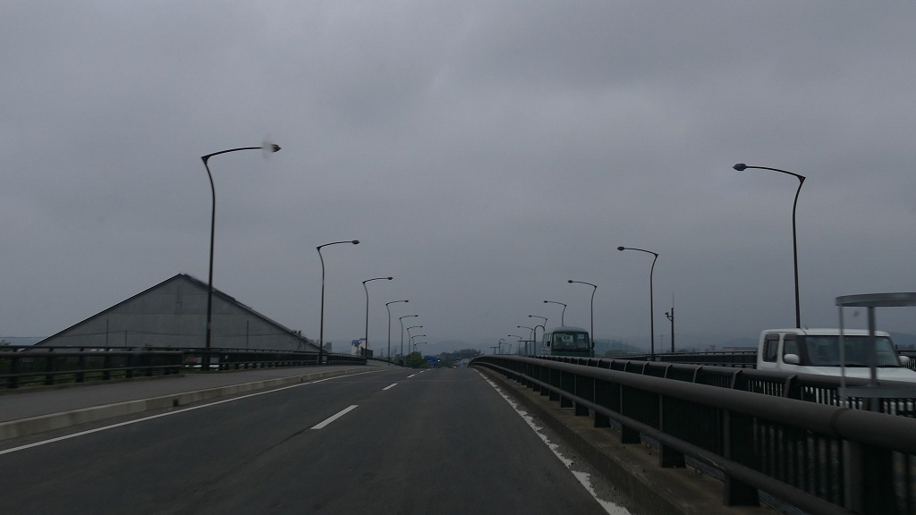 クワガタの触覚ぽい・・・