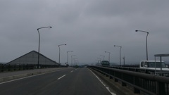 クワガタの触覚ぽい・・・