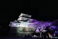 夜の小田原城９