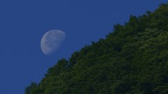 お月さん！もう朝ですよ