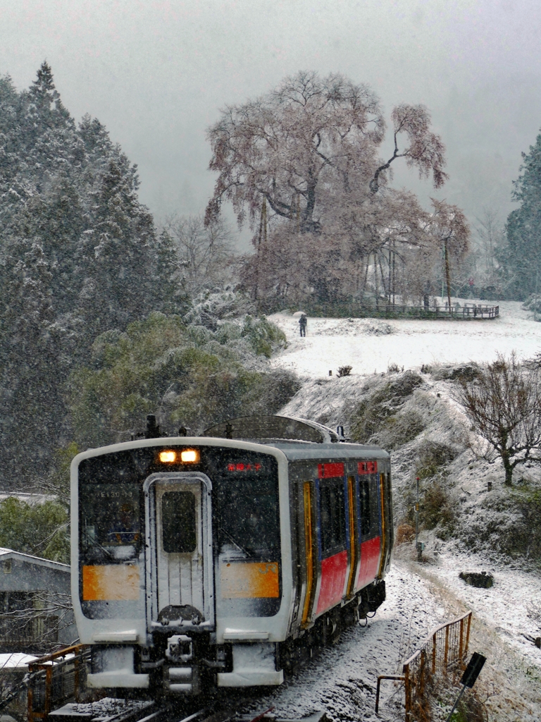 雪桜と水郡線 ２