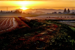 霜の降りた朝に