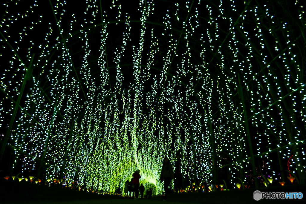 ライトニングロード