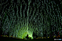 ライトニングロード