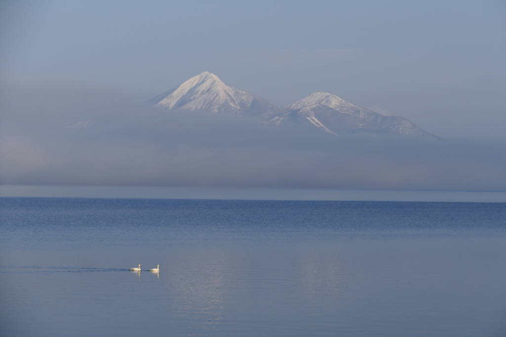 朝もやの磐梯山と白鳥