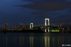 ナイトドリーム