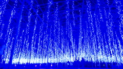 @足利フラワーパーク