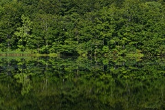 リフレクション