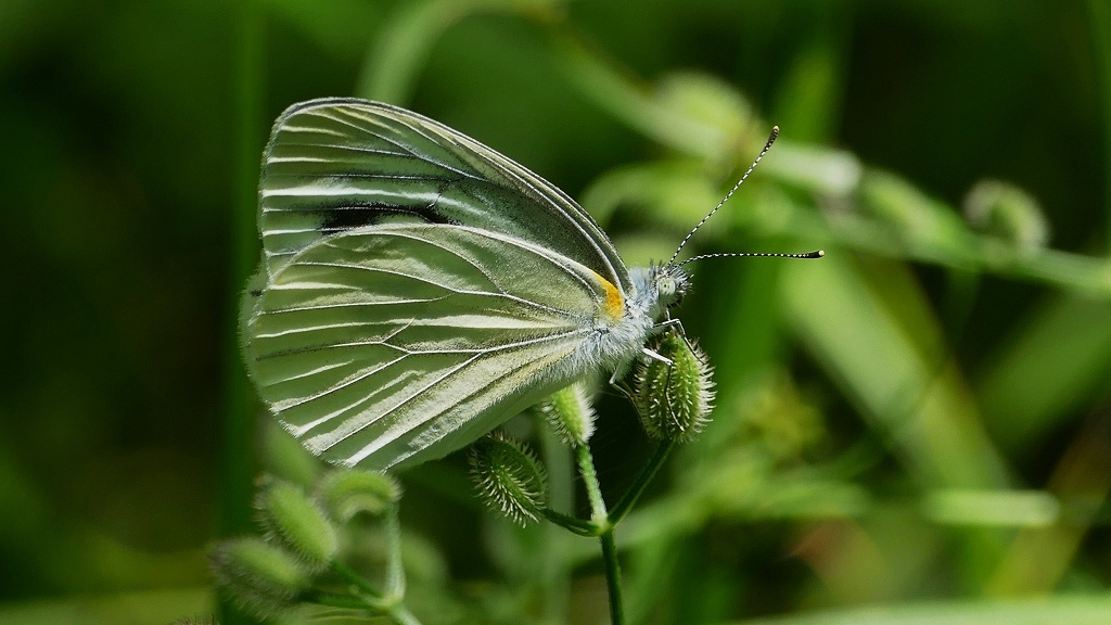 ひとやすみ・・・