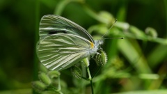 ひとやすみ・・・