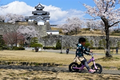 白河小峰城の春 ５