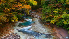 蒼き流れ