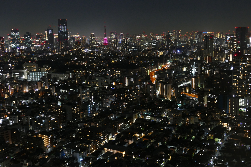 東京夜景
