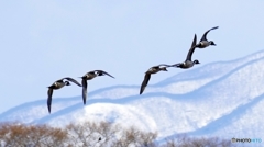 1210001@猪苗代湖