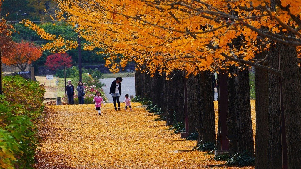P1170317　@福島市あづま運動公園