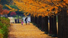 P1170317　@福島市あづま運動公園