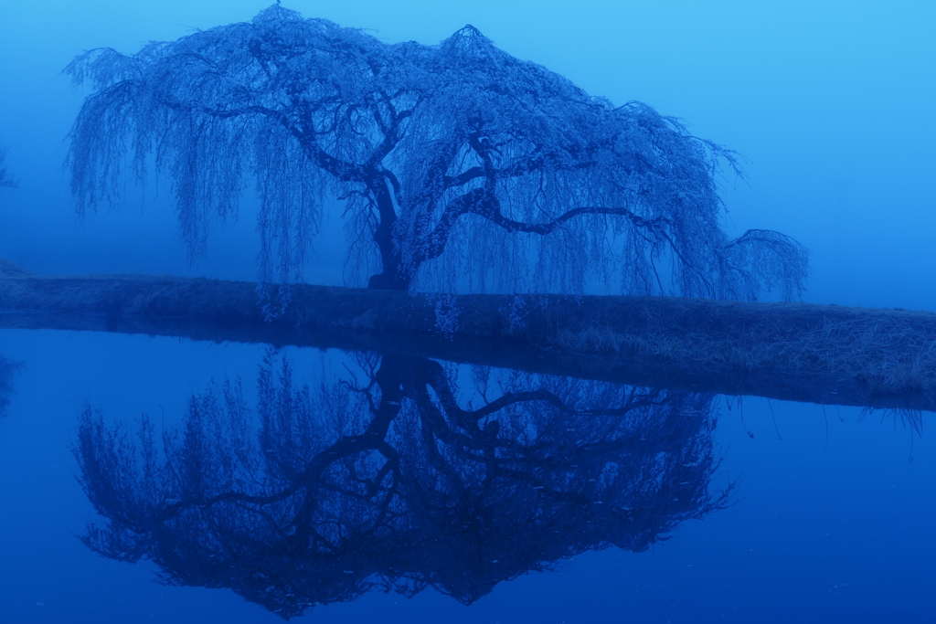 朝霧の夜明け２