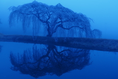 朝霧の夜明け２