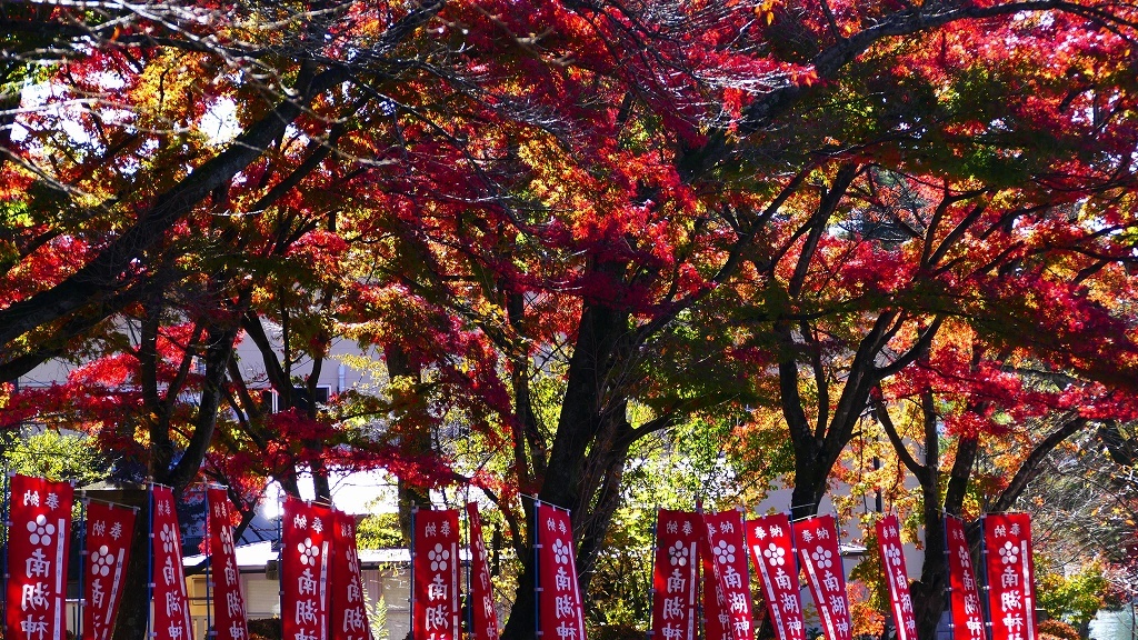 P1160603@白河市南湖