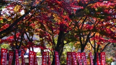 P1160603@白河市南湖