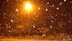 雪降る夜に