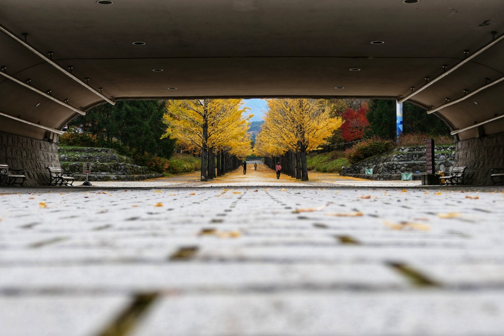 あづま総合運動公園