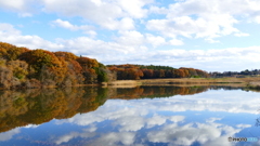 1170360 金曜の空@福島県鏡石町