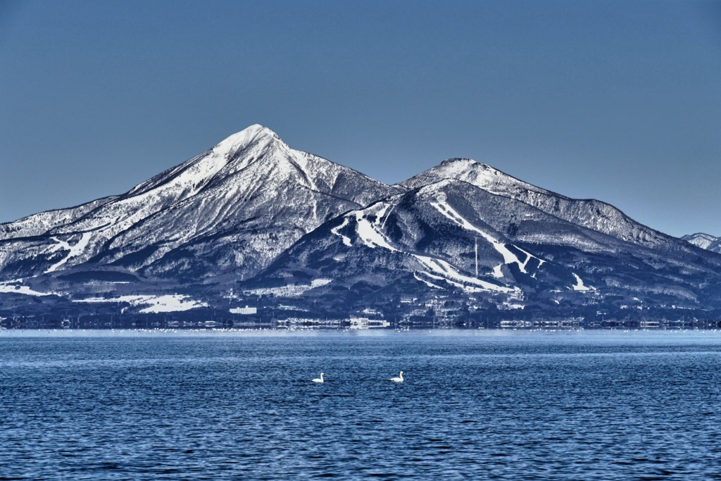 白鳥と磐梯山 ２