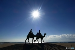 陽の砂漠を、はるばると